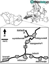 Ảnh Pannoniasaurus: Quái vật dài tới 6 mét ở vùng nước ngọt của Hungary