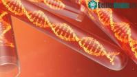 Ảnh Phát hiện bộ gene HIV dài nhất, cổ nhất từng được biết đến