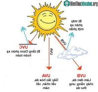 Ảnh Cách xem chỉ số UV ngay trên thiết bị di động Android và iPhone