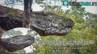 Ảnh Bất ngờ đã phát hiện hang động hình rắn khổng lồ