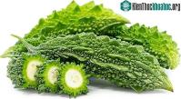 Ảnh Ba loại rau "đắng giã tật" cực kỳ tốt cho sức khỏe