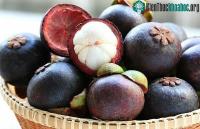 Ảnh Ba loại quả màu tím cực tốt cho sức khỏe trong ngày hè