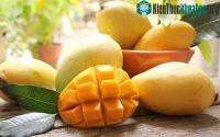 Ảnh Biến phụ phẩm trái xoài thành giấm thơm ngon nhờ cách lên men hồi lưu