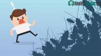 Ảnh Vì sao con gián lại gây ra cảm giác đáng sợ, kinh tởm?