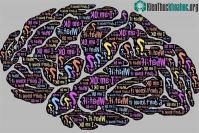 Ảnh Não có thể đói kiến thức giống như dạ dày đói thức ăn?