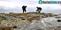 Ảnh 100 triệu năm trước, loài kỳ giông khổng lồ từng sinh sống tại Nam Cực