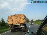 Ảnh Những hình ảnh sắp xếp đỉnh cao, hoàn hảo tuyệt đối