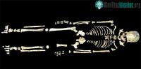 Ảnh Bộ gene của người cổ đại làm sáng tỏ lịch sử Đông Á