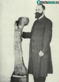 Ảnh Stomatosuchus inermis: Loài cá sấu khổng lồ cổ đại có thể "nuốt chửng cả thế giới"