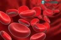 Ảnh Tuổi thọ của con người liên quan hàm lượng sắt trong máu