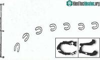 Ảnh Khám phá bí ẩn "dấu chân quỷ" gây tranh cãi 165 năm