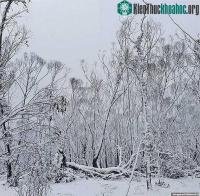Ảnh Chuyện hi hữu: Tuyết rơi kỷ lục giữa tháng 8 lần đầu tiên trong 15 năm ở Australia