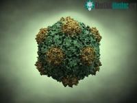 Ảnh Virus khảm đậu đũa: "vũ khí" hiệu nghiệm chống lại ung thư?