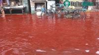 Ảnh Vì sao một số vùng trên Trái đất lại xuất hiện hiện tượng "mưa máu" kỳ lạ?