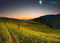 Ảnh Chiêm ngưỡng hình ảnh dải ngân hà đẹp như phim ở Mù Cang Chải