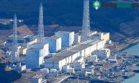 Ảnh Nước nhiễm xạ ở Fukushima có thể làm biến đổi được ADN người