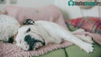Ảnh Sự buồn chán đôi khi cũng có ích hơn là bạn tưởng