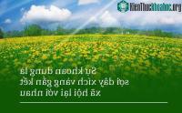 Ảnh 3 từ giúp cho nhiều người thay đổi cả cuộc đời