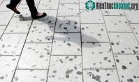Ảnh Đây mới là lý do thật sự khiến cho bạn không nên nuốt kẹo cao su