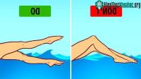 Ảnh Dạy cho trẻ 10 kỹ năng sinh tồn