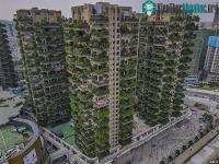 Ảnh "Khu rừng thẳng đứng" ở Trung Quốc đã bị muỗi xâm chiếm
