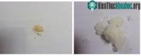Ảnh Chống ăn mòn cho xăng sinh học với các chất phụ gia từ lá giang