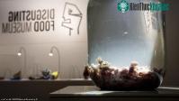 Ảnh Rùng mình với những loại đồ uống làm từ phân người, ủ trong bồn cầu ở Thuỵ Điển