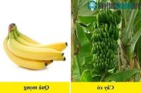 Ảnh Thông tin sai lầm nhiều người vẫn tin là đúng