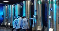 Ảnh "Hồi sinh" người đã khuất sau khoảng 100 năm: Tham vọng lớn của y tế Trung Quốc đằng sau nghiên cứu lạ