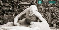 Ảnh Tìm thấy được bộ não thuỷ tinh hoá cực hiếm của nạn nhân thảm họa Pompeii