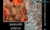 Ảnh Sinh vật 4 tỉ năm trước "hồi sinh" nơi có tiểu hành tinh đâm vào Trái đất