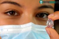 Ảnh Đấu giá viên kim cương hồng tím quý hiếm siêu đắt