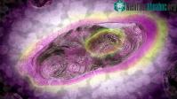 Ảnh Lần đầu tiên phát hiện ra loại virus khổng lồ có thể tự tạo ra năng lượng