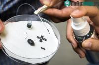 Ảnh "Thuốc xịt" vi diệu biến vật thể bất kỳ thành con robot tí hon