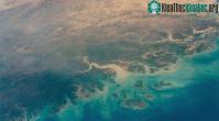 Ảnh NASA "nhờ" AI lập ra bản đồ cây, phát hiện hàng tỉ cây xanh ở hoang mạc