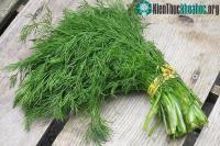Ảnh Những tác dụng bất ngờ và ít ai biết đến của cây thì là