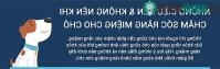 Ảnh Những sai lầm khi nuôi chó mà bạn cần phải tránh