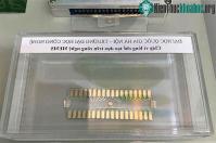 Ảnh Việt Nam chế tạo chip vi lỏng phát hiện tế bào ung thư phổi trong 30 phút