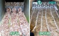 Ảnh Phát minh đặc biệt giúp cho thế giới thoát khỏi thảm họa rác thải
