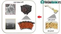 Ảnh Cấu trúc xương động vật tạo cảm hứng cho thiết kế pin mới