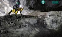 Ảnh NASA đã dự định dùng robot chó thám hiểm sao Hỏa