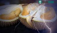 Ảnh Những giải pháp công nghệ được lấy cảm hứng từ thiên nhiên nổi bật trong năm 2020
