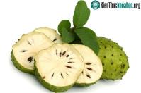Ảnh Những lợi ích sức khỏe mà ít người biết của quả mãng cầu