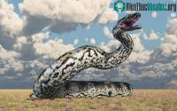 Ảnh Huyền thoại về loài rắn quái vật từng thống trị Colombia thời tiền sử
