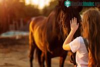 Ảnh Làm sao để biết một con vật đang vui mừng nếu nó không có đuôi để vẫy?