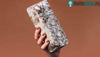 Ảnh Trong tương lai, con người sẽ sống ở trong những ngôi nhà làm bằng nấm