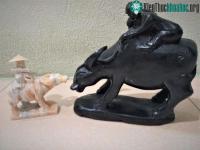 Ảnh Đầu năm Tân Sửu nói về các giống trâu nổi tiếng trên thế giới