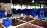 Ảnh Giải pháp đưa chất thải hữu cơ trở lại với chuỗi thức ăn