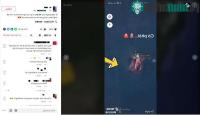 Ảnh Sự thật về bức ảnh bạch tuộc khổng lồ xuất hiện trên Google Maps