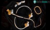 Ảnh Thợ dò vàng đã tìm thấy kho báu Viking khoảng 1.000 năm tuổi